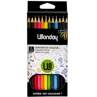 Boite de 12 Crayons de Couleurs triangulaires