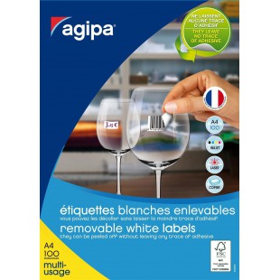 Btes 100 etiquette A4 210x297 mm (1 x 100F A4) Multi-usage