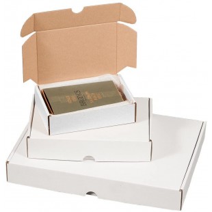 Lot de 25 : Smartboxpro Maxibrief Carton