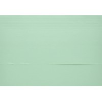 Lot de 50 : 48687 Fast Chemises Poche Vip 240 x 232 mm 240 g Document A4 Soufflet 30 mm Pastel