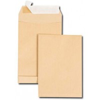 Boite de 250 sacs a  soufflets kraft brun C5 162x229 120 g/m² bande de protection