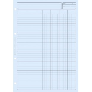 BLOC AUDIT 4 COL.+ EN-TETE 297X210 80 P. BLEU DOSSIER RECTO