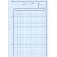 BLOC AUDIT CONTROLE INTERNE 297X210 80 P. BLEU CARREAUX AVEC EN-TETE DOSSIER