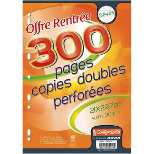 Copies doubles perforees s/film 21x29,7 300p seyes 90g