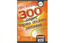 Copies doubles perforees s/film 21x29,7 300p seyes 90g
