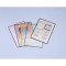 Lot de 10 : Tarifold tableaux transparents pour documents format A3 Rouge