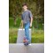 Schildkrot Skateboard Kicker 31", Planche avec d'Excellentes Fonctionnalites pour Debutants, Plateau Concave avec Double Kick et