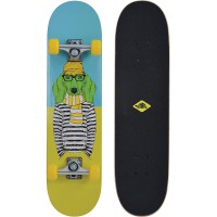 Schildkrot Skateboard Kicker 31, Planche avec d'Excellentes Fonctionnalites pour Debutants, Plateau Concave avec Double Kick et 