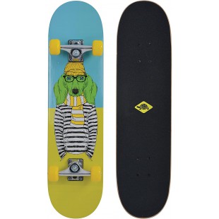 Schildkrot Skateboard Kicker 31, Planche avec d'Excellentes Fonctionnalites pour Debutants, Plateau Concave avec Double Kick et 