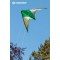 Schildkrot-970430 Schildkrot Stunt Kite 140, Cerf-Volant Acrobatique a  Deux Lignes, 10 Ans, 60x133cm, avec Cordons en Polyester