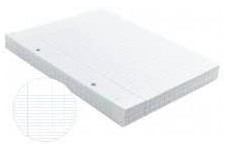 pqts feuillets mobiles 17 x 22 seyes 200 pages blanc