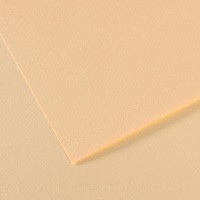 Lot de 10 : Feuille Mi-Teintes® 50x65 160g/m², coloris ivoire 111