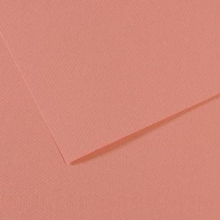 Lot de 10 : Feuille Mi-Teintes® 50x65 160g/m², coloris rose fonce 352