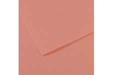 Lot de 10 : Feuille Mi-Teintes® 50x65 160g/m², coloris rose fonce 352