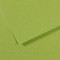 Lot de 10 : Feuille Mi-Teintes® 50x65 160g/m², coloris vert pomme 475