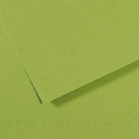 Lot de 10 : Feuille Mi-Teintes® 50x65 160g/m², coloris vert pomme 475