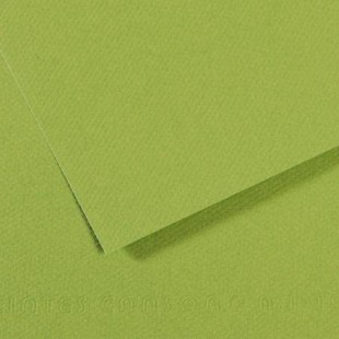 Lot de 10 : Feuille Mi-Teintes® 50x65 160g/m², coloris vert pomme 475