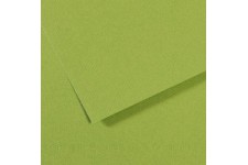 Lot de 10 : Feuille Mi-Teintes® 50x65 160g/m², coloris vert pomme 475