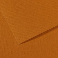 Lot de 10 : Feuille Mi-Teintes® 50x65 160g/m², coloris havane clair 502