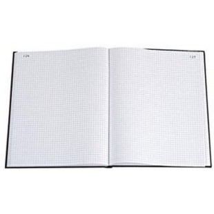 Exacompta 412E Registre pique foliote format Vertical 29,7 x 21 cm 200 pages petits Carreaux 110 g/m²