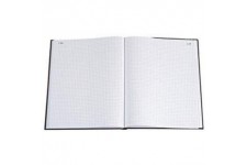 Exacompta 412E Registre pique foliote format Vertical 29,7 x 21 cm 200 pages petits Carreaux 110 g/m²