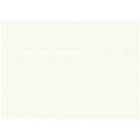 Lot de 10 : Canson Mi-teintes Papiers a dessin a grain 160 g 50 x 65 cm Blanc