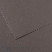 Lot de 10 : Feuille Mi-Teintes® 50x65 160g/m², coloris gris ardoise 345