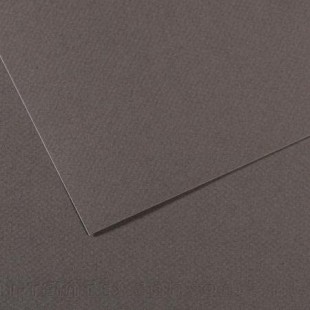 Lot de 10 : Feuille Mi-Teintes® 50x65 160g/m², coloris gris ardoise 345