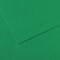 Lot de 10 : Feuille Mi-Teintes® 50x65 160g/m², coloris vert billard 575