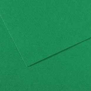 Lot de 10 : Feuille Mi-Teintes® 50x65 160g/m², coloris vert billard 575