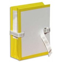 Treillet Boite de 25 pochettes a  archives en carton Soufflet et rabat en PVC Dos de 10 cm Jaune