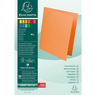 Rainex Rock's 100 Sous-chemises 80 g 22 x 31 cm Vert Empire