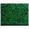 Carton a dessin Annonay vert a elastiques, 52x72 - Raisin