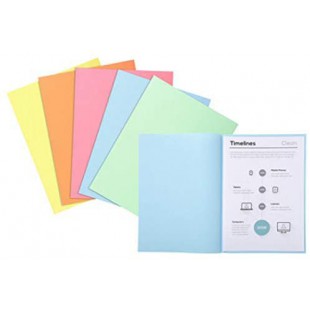 61 CA 250 Sous-chemises 60 g 22 x 31 cm Canari