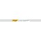 BIC Rouleaux Tableau blanc effacable a  sec Adhesif 67x 100 cm