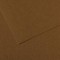 Lot de 10 : Feuille Mi-Teintes® 50x65 160g/m², coloris marron fonce 501