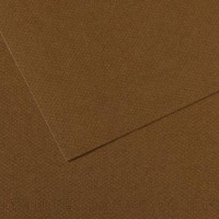 Lot de 10 : Feuille Mi-Teintes® 50x65 160g/m², coloris marron fonce 501