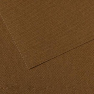 Lot de 10 : Feuille Mi-Teintes® 50x65 160g/m², coloris marron fonce 501