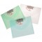Lot de 10 : CANSON 99228 Pochette Rangement Poly Propylene Rigide Dessin A3 Pastel 420x297 mm - Coloris Aleatoire