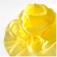 Canson Rouleaux Papier de soie 0,5 x 5 m Jaune Citron