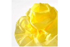 Canson Rouleaux Papier de soie 0,5 x 5 m Jaune Citron