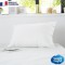 SWEET NIGHT Housse intégrale pour oreiller Anti punaise de lit Anti-acariens - 50 x 70 cm - Blanc