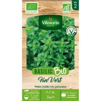 Basilic fin vert bio Vilmorin