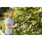 Taille-haies électrique GARDENA - EasyCut 420/45 - 420W - 45 cm - Poignée ErgoLine - Butée de protection