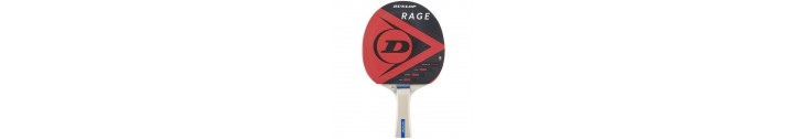 TENNIS DE TABLE - PING PONG