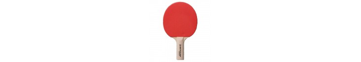 TENNIS DE TABLE - PING PONG