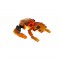 Laser Pegs, Tigre rouge - 4 en 1 - 216 pcs, Construction, brique lumineuse, Jouet pour enfants des 8 ans, LAU04