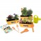 Smoby - Silence ça Pousse - Jardinieres - Accessoires de Jardinage + Livret Explicatif Inclus - Des 5 Ans - 870308