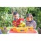 Smoby - Silence ça Pousse - Jardinieres - Accessoires de Jardinage + Livret Explicatif Inclus - Des 5 Ans - 870308