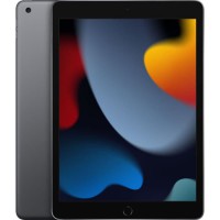 Apple - iPad (2021) - 10,2 WiFi - 256 Go - Gris Sidéral